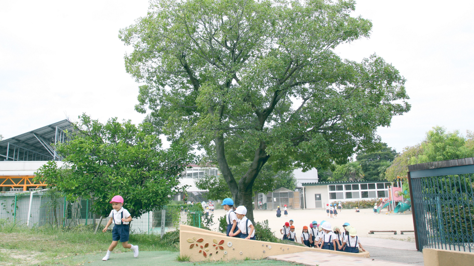 広い園庭と豊かな自然