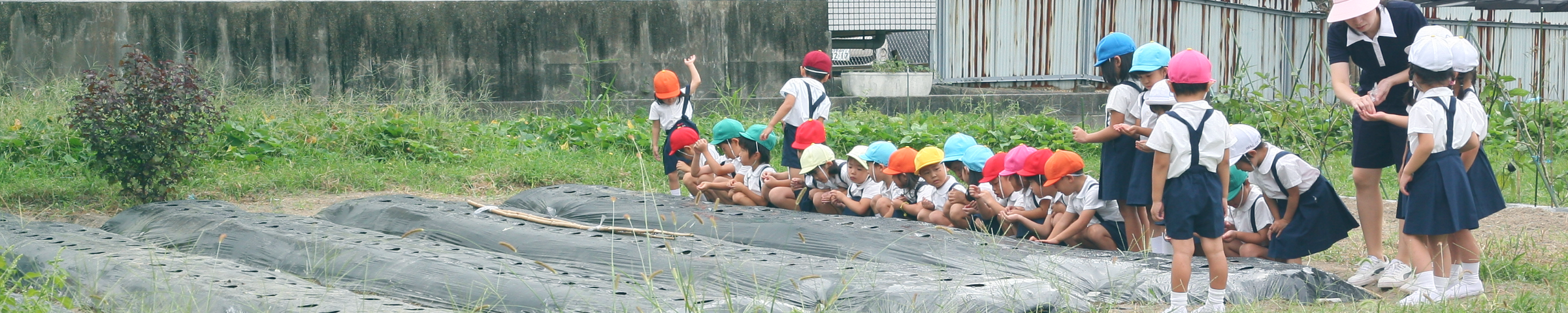 年間活動カレンダー
